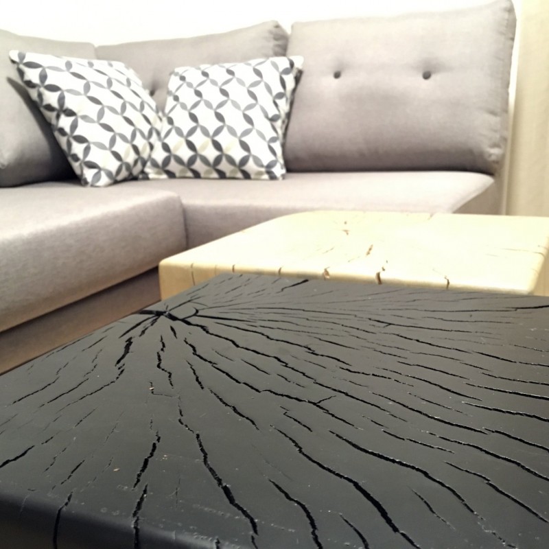 Κατοικίες σχεδιασμένες και κατασκευασμένες από την woodidea